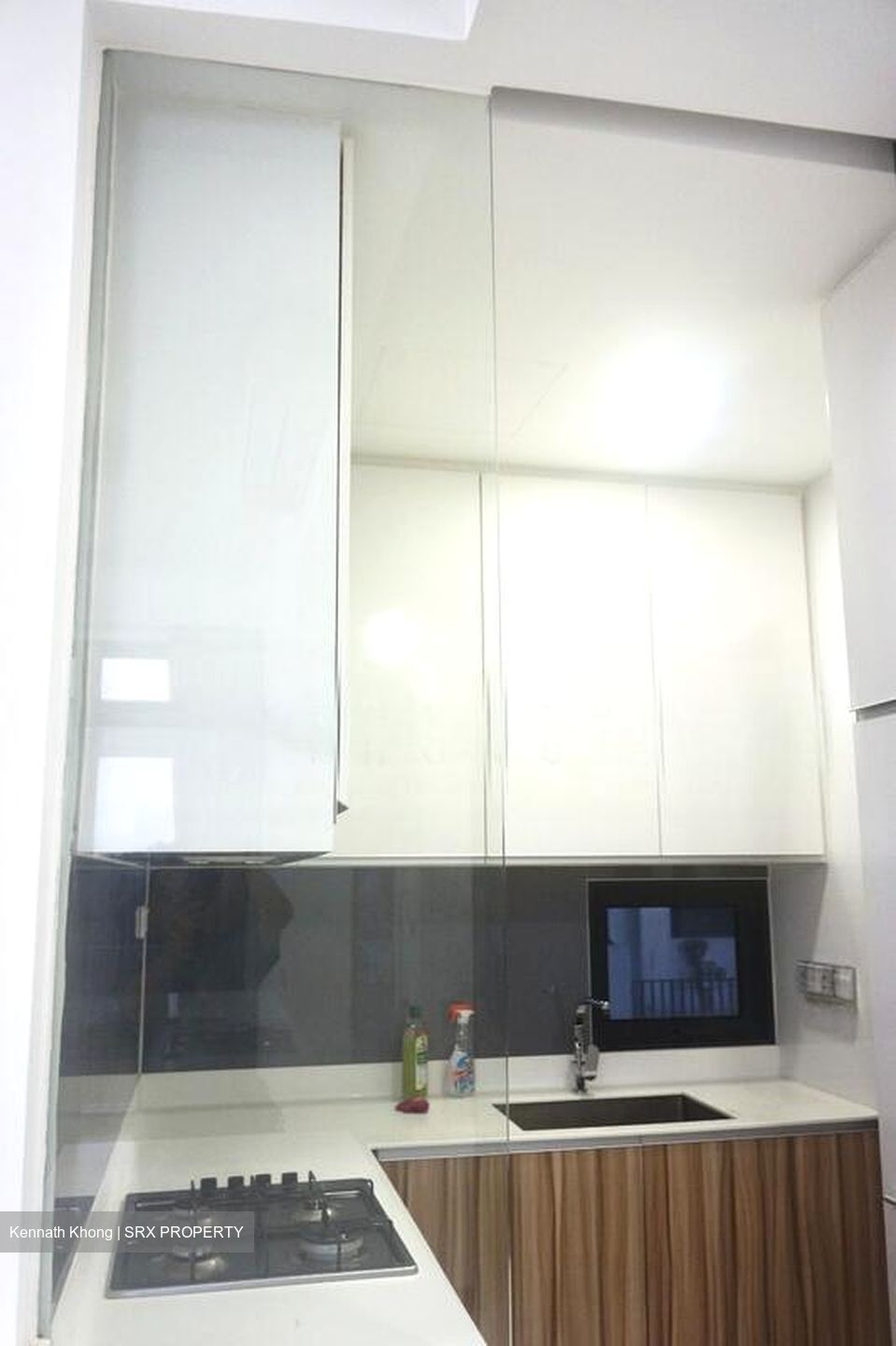 Eco Sanctuary (D23), Condominium #521886731